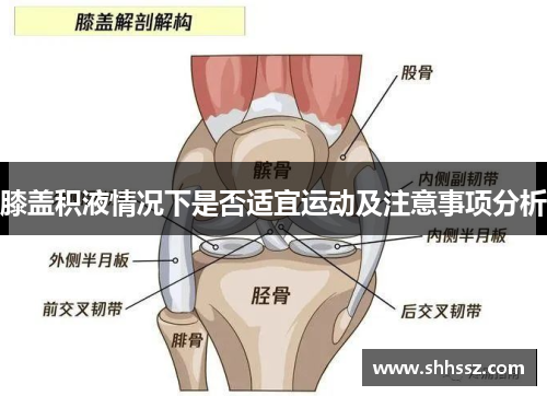 膝盖积液情况下是否适宜运动及注意事项分析